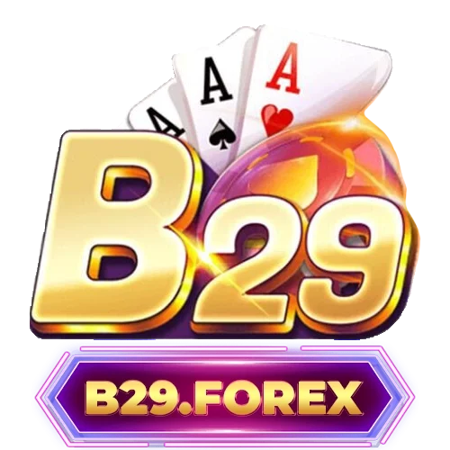 B29