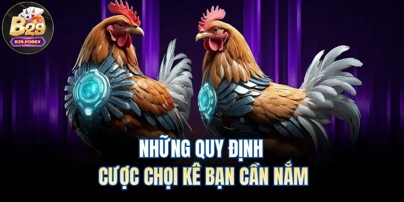 Những quy định cược chọi kê bạn cần nắm